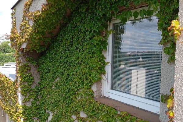 Pronájem bytu 2+1 57 m², Mezivrší, Praha Pronájem bytu 2+1 57 m², Mezivrší, Praha