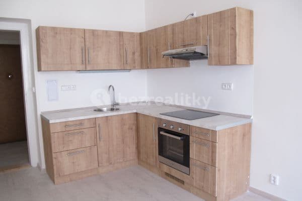 Pronájem bytu 2+kk 62 m², Zoubkova, Praha Pronájem bytu 2+kk 62 m², Zoubkova, Praha