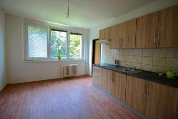 Pronájem bytu 1+1 45 m², Plzeňská, Ostrava