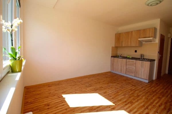 Pronájem bytu 1+kk 22 m², Plzeňská, Ostrava Pronájem bytu 1+kk 22 m², Plzeňská, Ostrava