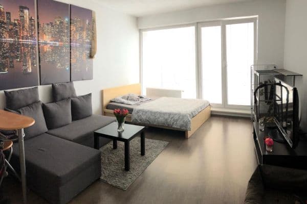 Pronájem bytu 1+kk 38 m², Nová, České Budějovice Pronájem bytu 1+kk 38 m², Nová, České Budějovice
