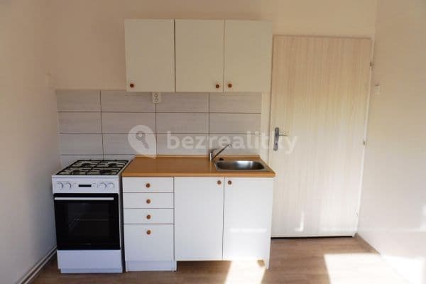 Pronájem bytu 1+1 43 m², Srbská, Brno Pronájem bytu 1+1 43 m², Srbská, Brno