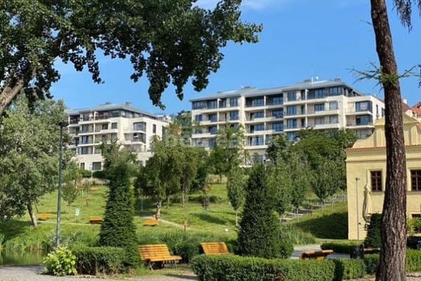 Pronájem bytu Pronájem bytu