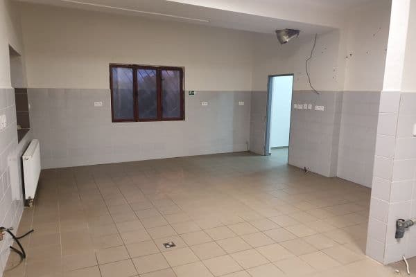Pronájem nebytového prostoru 96 m², Průmyslová, Strančice Pronájem nebytového prostoru 96 m², Průmyslová, Strančice