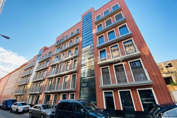 Pronájem bytu 1+kk 31 m², Spolková, Brno Pronájem bytu 1+kk 31 m², Spolková, Brno