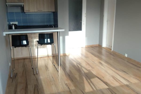 Pronájem bytu 1+kk 30 m², Levského, Praha Pronájem bytu 1+kk 30 m², Levského, Praha