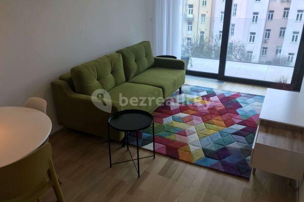 Pronájem bytu 1+kk 43 m², Šumavská, Brno