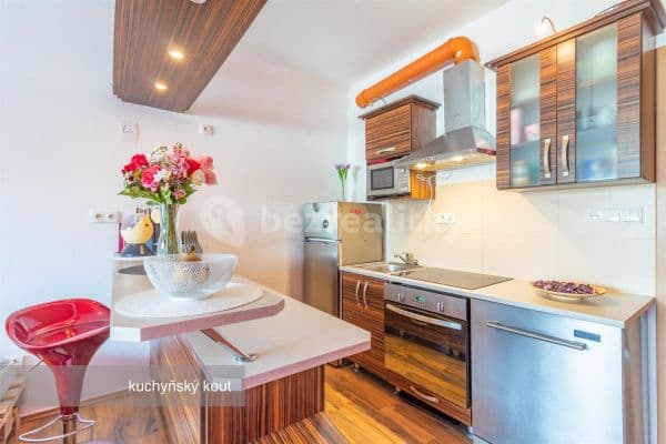 Pronájem bytu 1+kk 33 m², K Dolovu, Křimice Pronájem bytu 1+kk 33 m², K Dolovu, Křimice