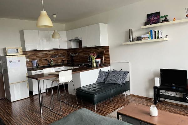 Pronájem bytu 1+1 43 m², Tomášikova, Nové Mesto Pronájem bytu 1+1 43 m², Tomášikova, Nové Mesto