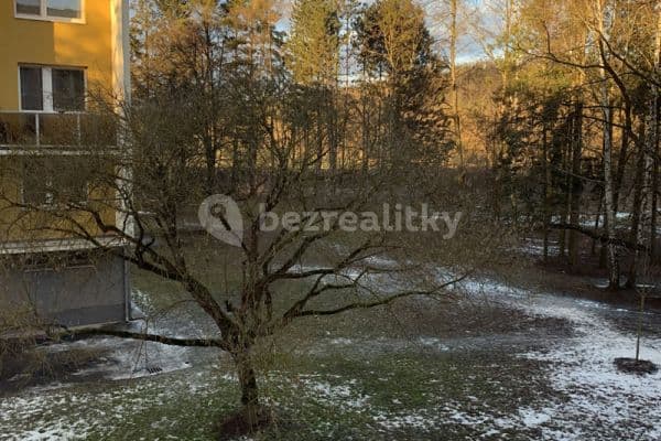 Pronájem bytu 2+1 55 m², Řezáčova, Brno Pronájem bytu 2+1 55 m², Řezáčova, Brno