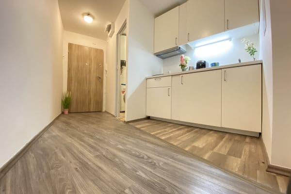 Pronájem bytu 2+1 44 m², Ruská, Hlavní město Praha Pronájem bytu 2+1 44 m², Ruská, Hlavní město Praha