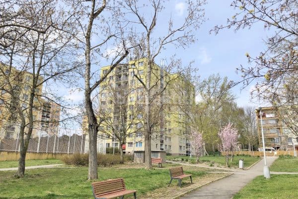 Pronájem bytu 3+kk 65 m², Kocianova, Praha Pronájem bytu 3+kk 65 m², Kocianova, Praha