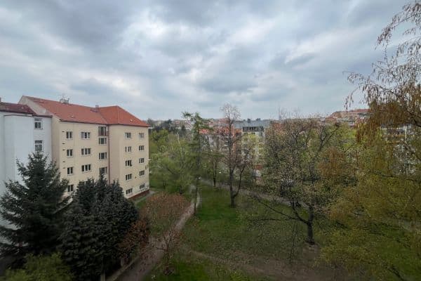 Pronájem bytu Pronájem bytu