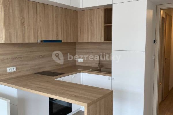 Pronájem bytu 1+kk 30 m², Do Zahrádek Ⅰ, Pronájem bytu 1+kk 30 m², Do Zahrádek Ⅰ,