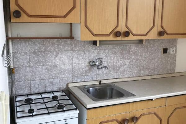Pronájem bytu 2+1 70 m², Zahradnická, Brno, Jihomoravský kraj Pronájem bytu 2+1 70 m², Zahradnická, Brno, Jihomoravský kraj