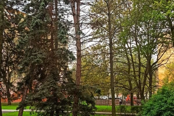 Pronájem bytu 1+1 37 m², Vrchlického, Pronájem bytu 1+1 37 m², Vrchlického,