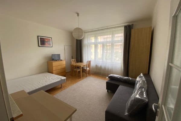 Pronájem bytu 1+kk 40 m², Táborská, Hlavní město Praha Pronájem bytu 1+kk 40 m², Táborská, Hlavní město Praha