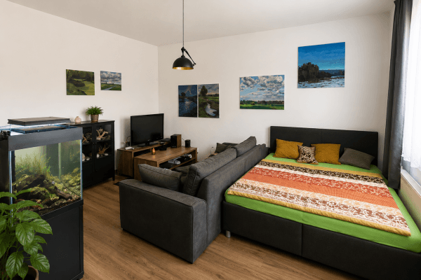 Pronájem bytu 1+kk 50 m², Na hrázi, Olomouc Pronájem bytu 1+kk 50 m², Na hrázi, Olomouc