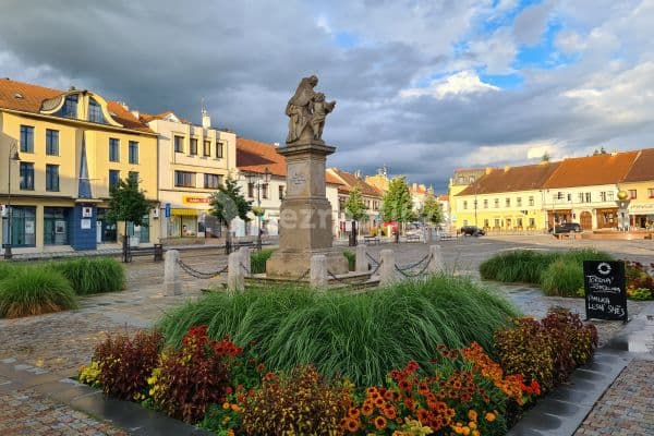Pronájem bytu 1+kk 55 m², Masarykovo náměstí, Brandýs nad Labem-Stará Boleslav Pronájem bytu 1+kk 55 m², Masarykovo náměstí, Brandýs nad Labem-Stará Boleslav