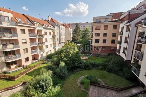 Pronájem bytu Pronájem bytu