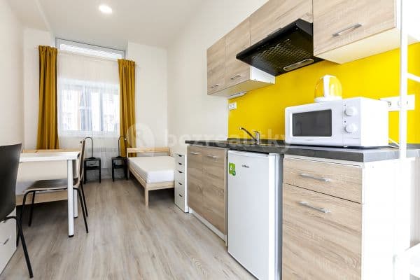 Pronájem bytu 1+kk 19 m², Václavská, Brno, Jihomoravský kraj Pronájem bytu 1+kk 19 m², Václavská, Brno, Jihomoravský kraj