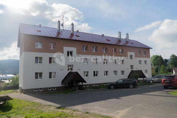 Pronájem bytu 2+1 57 m², Harrachov, Liberecký kraj