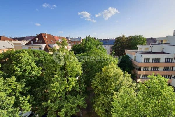 Pronájem bytu 2+kk 48 m², Guldenerova, Plzeň, Plzeňský kraj Pronájem bytu 2+kk 48 m², Guldenerova, Plzeň, Plzeňský kraj