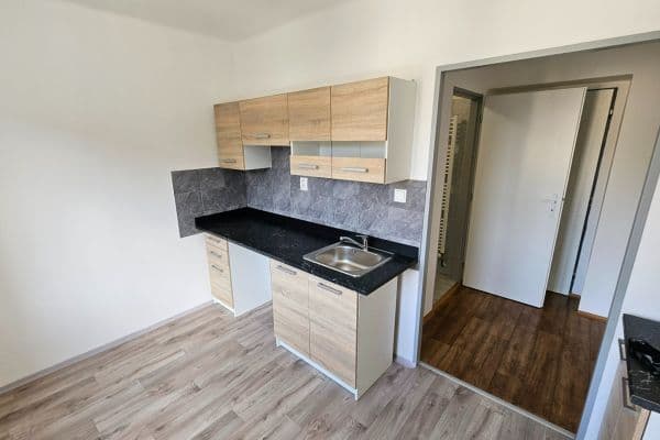 Pronájem bytu 1+1 30 m², Lesní, Most