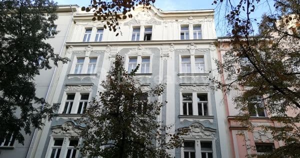 Pronájem bytu 1+kk 30 m², Tolstého, Hlavní město Praha Pronájem bytu 1+kk 30 m², Tolstého, Hlavní město Praha