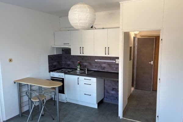 Pronájem bytu 1+1 35 m², Pod Parkem, Ústí nad Labem Pronájem bytu 1+1 35 m², Pod Parkem, Ústí nad Labem