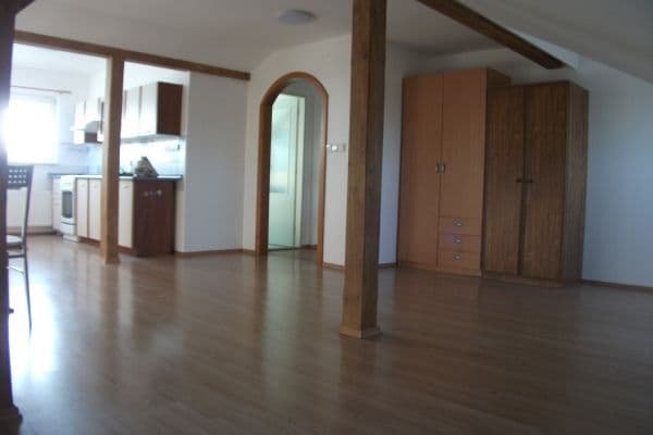 Pronájem bytu 1+kk 50 m², Dlouhá, Karlovy Vary Pronájem bytu 1+kk 50 m², Dlouhá, Karlovy Vary