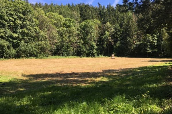 Prodej pozemku 6.060 m², Hlavní, Prodej pozemku 6.060 m², Hlavní,