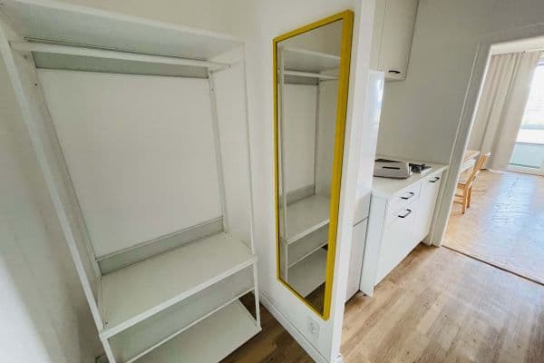 Pronájem bytu 1+1 30 m², Ostravská, Liberec Pronájem bytu 1+1 30 m², Ostravská, Liberec