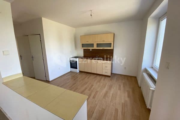 Pronájem bytu 2+1 53 m², Barbořina, 