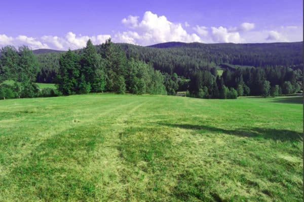 Prodej pozemku 7.699 m², Zdíkov Prodej pozemku 7.699 m², Zdíkov