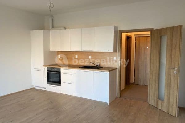 Pronájem bytu Pronájem bytu