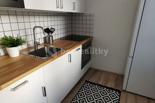 Pronájem bytu 1+1 39 m², Brno, Jihomoravský kraj