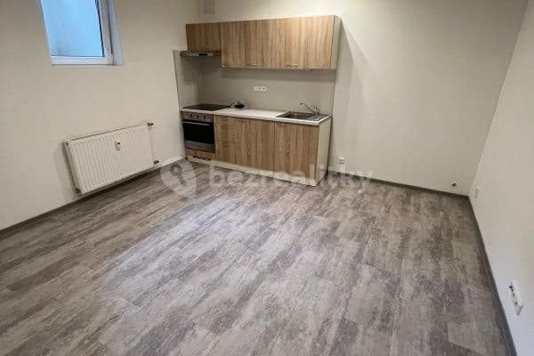 Pronájem bytu 1+kk 30 m², Netušilova, Pronájem bytu 1+kk 30 m², Netušilova,