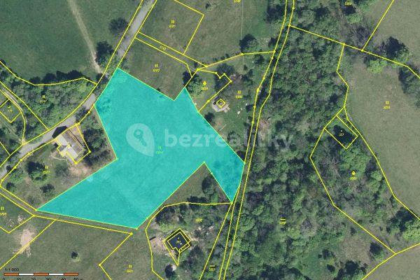 Prodej pozemku 6.849 m², Rokytnice v Orlických horách