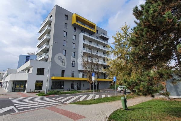Pronájem bytu 2+kk 44 m², Kubelíkova, Hradec Králové Pronájem bytu 2+kk 44 m², Kubelíkova, Hradec Králové