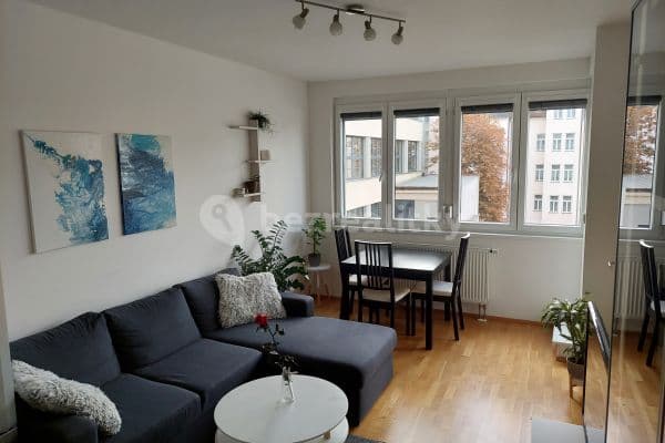 Pronájem bytu 2+kk 50 m², U Svobodárny, Praha, Praha