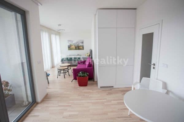 Pronájem bytu 1+kk 47 m², U Mlýnského kanálu, Praha Pronájem bytu 1+kk 47 m², U Mlýnského kanálu, Praha