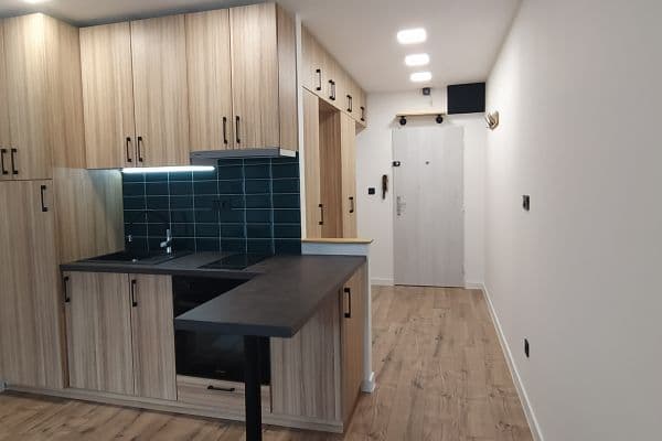 Pronájem bytu 1+kk 28 m², U Parku, Ostrava Pronájem bytu 1+kk 28 m², U Parku, Ostrava