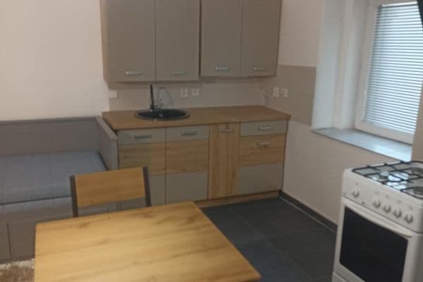 Pronájem bytu 1+kk 25 m², Záryby Pronájem bytu 1+kk 25 m², Záryby