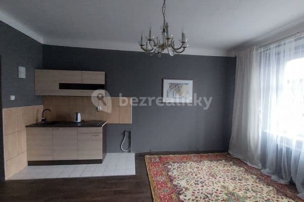 Pronájem bytu 1+kk 32 m², Doudlevecká, Plzeň