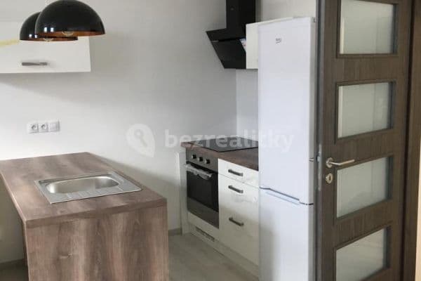 Pronájem bytu 1+kk 37 m², U Velkého rybníka, Plzeň Pronájem bytu 1+kk 37 m², U Velkého rybníka, Plzeň
