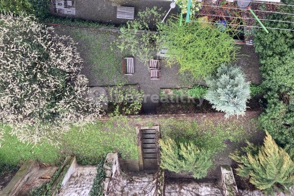 Pronájem bytu 2+kk 50 m², Pekařská, Brno Pronájem bytu 2+kk 50 m², Pekařská, Brno