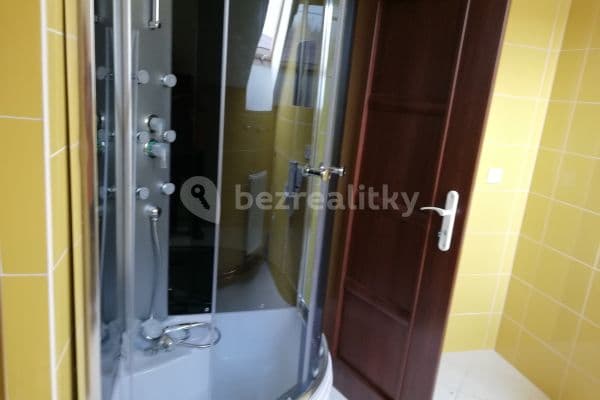 Pronájem bytu 3+kk 85 m², Plchov Pronájem bytu 3+kk 85 m², Plchov