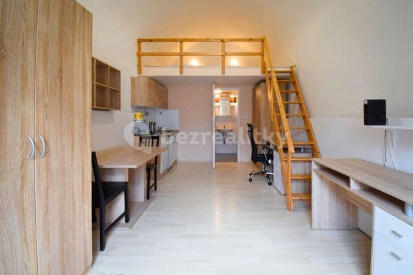 Pronájem bytu 1+kk 20 m², Václavská, Brno Pronájem bytu 1+kk 20 m², Václavská, Brno