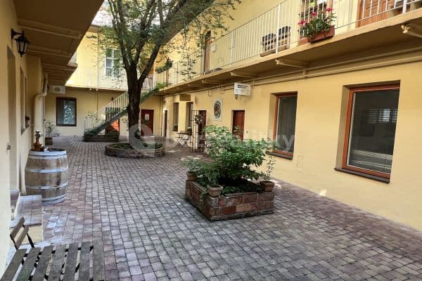 Pronájem kanceláře 34 m², Pekařská, Brno Pronájem kanceláře 34 m², Pekařská, Brno